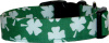 Big Shamrocks on Kelly Green Dog Collar